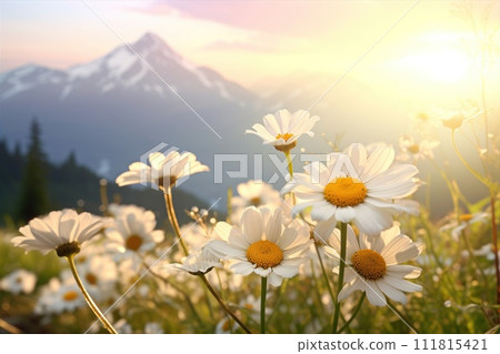 Blooming meadow among mountains. High peaks and flowers. Beauty in nature. 111815421