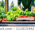 In a greenhouse, a wooden box filled with tomatoes and a window overlooking the scene depicts a man caring for a vegetable garden. 111815492