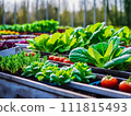 a garden filled with lots of different types of vegetables and plants in trays on a table next to each other, 111815493
