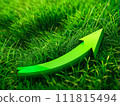 a green arrow pointing up in the grass with a green background, a sustainable business concept 111815494