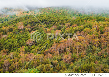 Scenery at the foot of Mt. Asama from Mt. Koasama [Karuizawa Town, Kitasaku District] 111815713