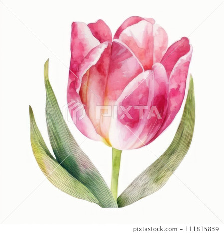 Bright flower on white background. Watercolor style Realistic art. 111815839
