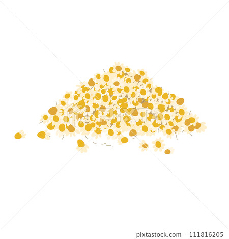 Pile of dried chamomile flowers. Vector illustration isolated on a white background 111816205