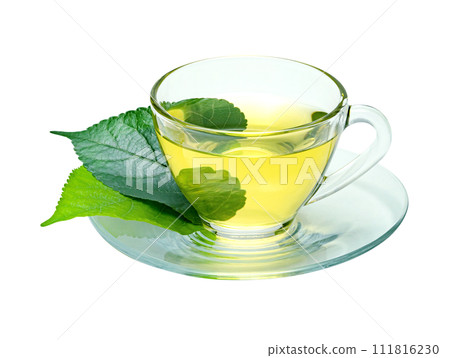 green tea with transparent cup isolated green tea with transparent cup isolated 111816230