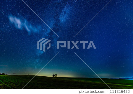 The starry sky of Biei Town, Hokkaido ~ A hill with a parent and child tree ~ 111816423