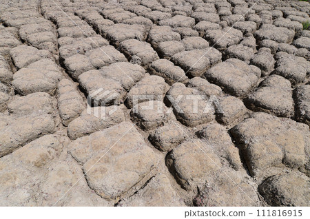 Dried and cracked soil in Gunsan-si, Jeollabuk-do, South Korea Dried and cracked soil in Gunsan-si, Jeollabuk-do, South Korea 111816915