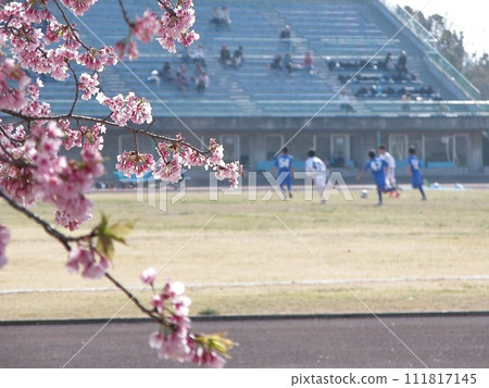 Cherry blossoms bloom at the sports park in Kumagaya City (2015.3.30) Sakura Techo Pale pink dances over the soccer field Cherry blossoms bloom at the sports park in Kumagaya City (2015.3.30) Sakura Techo Pale pink dances over the soccer field 111817145