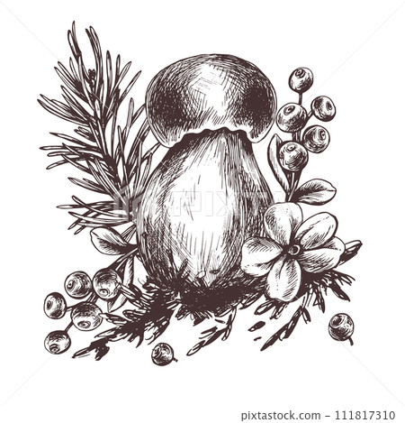 Forest porcini mushroom with larch, lingonberry, moss and cone. Graphic botanical illustration hand drawn in brown ink. For recipes, packaging, autumn festival, harvest. Isolated composition. 111817310