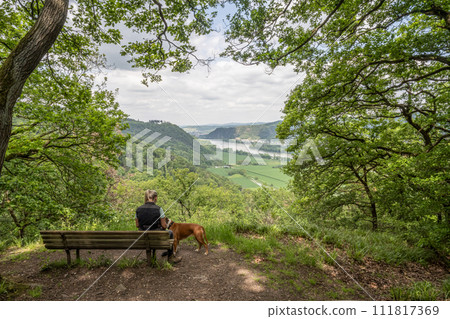 Tourist girl sitting on a bench with a puppy boxer dog looking at the rhine river valley near Andernach from viewpoint Tourist girl sitting on a bench with a puppy boxer dog looking at the rhine river valley near Andernach from viewpoint 111817369