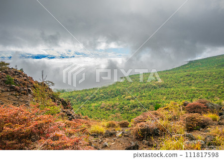 [從小淺山眺望] 萬裡竹 [北佐久區輕井澤町] 111817598
