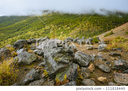 View from Mt. Koasama mountain trail [Karuizawa Town, Kitasaku District] 111818440