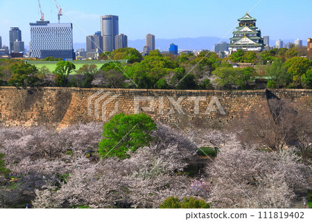 [Osaka Prefecture] Osaka Castle and Osaka Business Park with cherry blossoms in full bloom 111819402