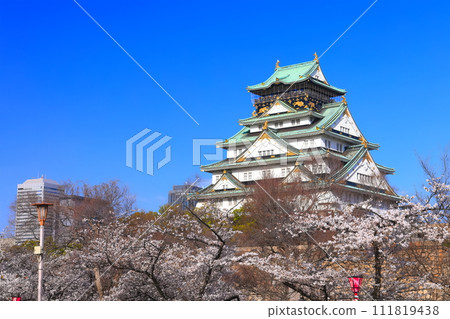[Osaka Prefecture] Cherry Blossoms in Full Bloom and Osaka Castle 111819438