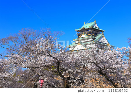 [Osaka Prefecture] Cherry Blossoms in Full Bloom and Osaka Castle 111819462