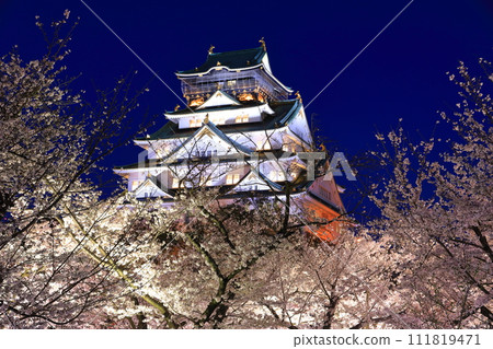 [Osaka Prefecture] Osaka Castle with cherry blossoms in full bloom at night 111819471