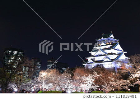 [Osaka Prefecture] Osaka Castle and Osaka Business Park with cherry blossoms in full bloom at night 111819491