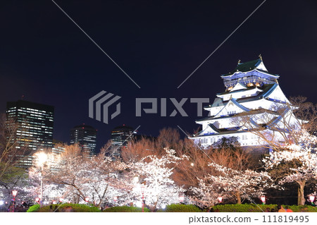 【大阪府】夜晚櫻花盛開的大阪城和大阪商業園 【大阪府】夜晚櫻花盛開的大阪城和大阪商業園 111819495