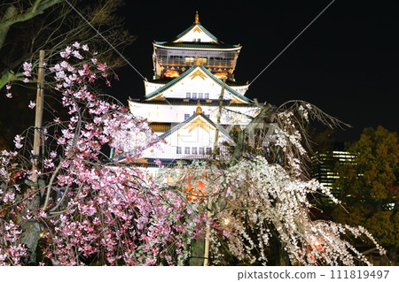 [Osaka Prefecture] Cherry blossoms in full bloom at night and Osaka Castle 111819497