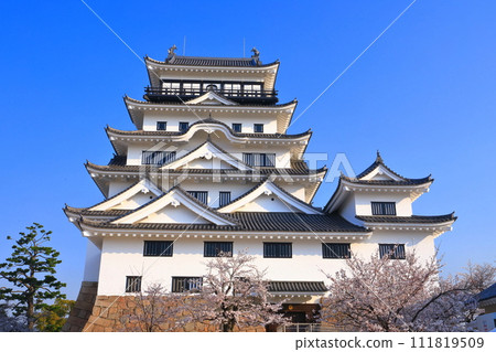 [廣島縣]盛開的櫻花和重建後的福山城 111819509