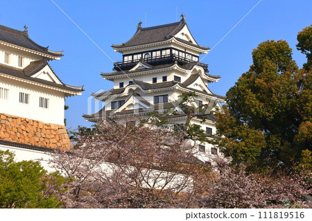 [Hiroshima Prefecture] Cherry blossoms in full bloom and Fukuyama Castle after reconstruction 111819516