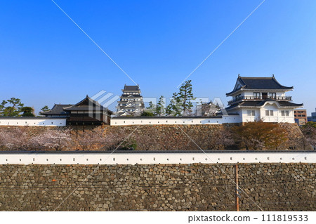 [Hiroshima Prefecture] Cherry blossoms in full bloom and Fukuyama Castle after reconstruction 111819533