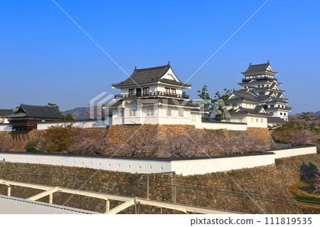 [Hiroshima Prefecture] Cherry blossoms in full bloom and Fukuyama Castle after reconstruction 111819535
