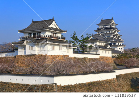 [廣島縣]盛開的櫻花和重建後的福山城 111819537