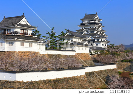 [廣島縣]盛開的櫻花和重建後的福山城 111819553