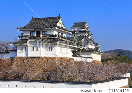 [Hiroshima Prefecture] Cherry blossoms in full bloom and Fukuyama Castle after reconstruction 111819559