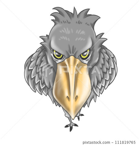 A shoebill stork stares at you A shoebill stork stares at you 111819765