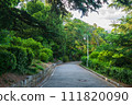 A rain soaked road in bad weather surrounded by green trees. 111820090