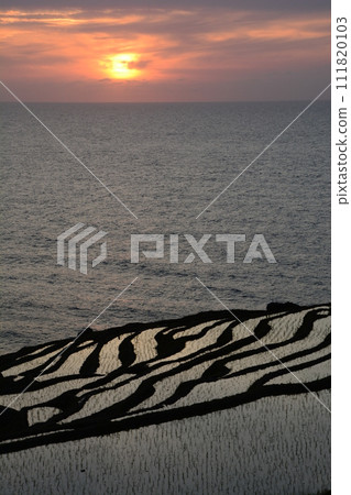 Senmaida overlooking the sunset over the Sea of Japan Senmaida overlooking the sunset over the Sea of Japan 111820103