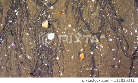 沙灘上的貝殼與海水痕跡 111820311