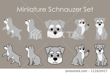 Simple and cute miniature schnauzer illustration set with/without main line 111820417