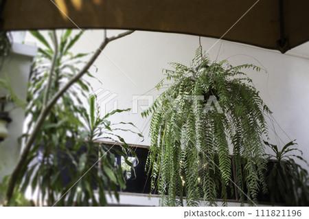 Exterior design and decoration furniture at coffee shop 111821196