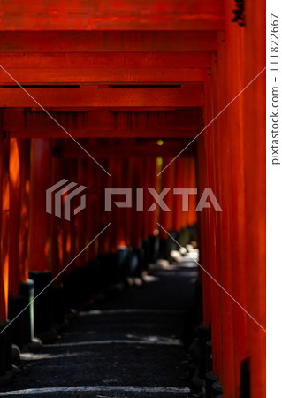 京都府、京都市、伏見稻荷神社、關西、近畿地區、鳥居、夏季旅遊、神社、寺廟、傳統文化、紅色、崇拜 111822667