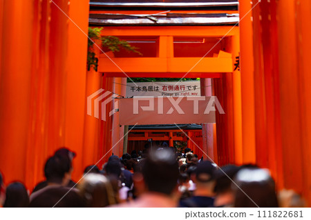 Kyoto Prefecture, Kyoto City, Fushimi Inari Shrine, Kansai, Kinki region, torii, summer tourism, shrine, temple, traditional culture, red, worship Kyoto Prefecture, Kyoto City, Fushimi Inari Shrine, Kansai, Kinki region, torii, summer tourism, shrine, temple, traditional culture, red, worship 111822681