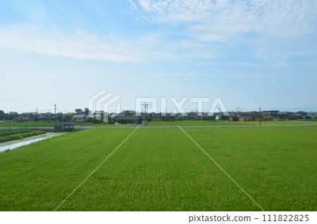 從長崎本線佐賀站到唐津線多久站的車窗眺望 從長崎本線佐賀站到唐津線多久站的車窗眺望 111822825