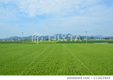 從長崎本線佐賀站到唐津線多久站的車窗眺望 111822843