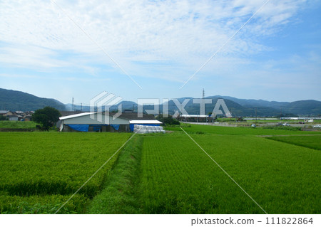 View from the train window from Saga Station on the Nagasaki Main Line to Taku Station on the Karatsu Line 111822864