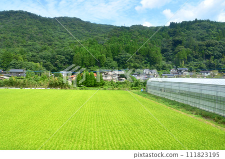 從唐津線大久站到西唐津站的車窗看到的景色 111823195