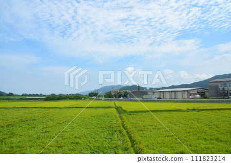 從唐津線大久站到西唐津站的車窗看到的景色 111823214