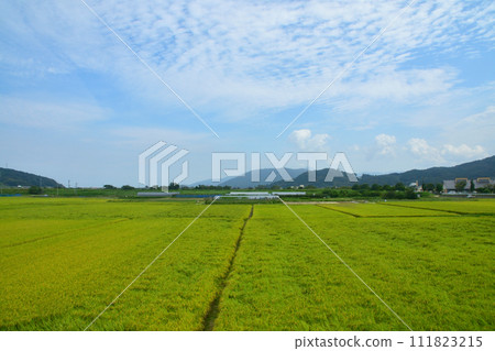 從唐津線大久站到西唐津站的車窗看到的景色 111823215