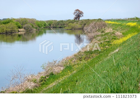 愛知縣愛西市龍太町_東海廣場西區2附近_2023年3月 愛知縣愛西市龍太町_東海廣場西區2附近_2023年3月 111823373