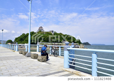 佐賀縣唐津市唐津城及週邊風景 111823466