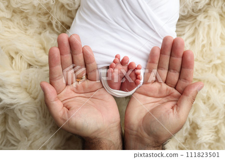 The palms of the father, the mother are holding the foot of the newborn baby in a white blanket. Feet of the newborn on the palms of the parents. Studio macro photo of a child's toes, heels and feet. The palms of the father, the mother are holding the foot of the newborn baby in a white blanket. Feet of the newborn on the palms of the parents. Studio macro photo of a child's toes, heels and feet. 111823501