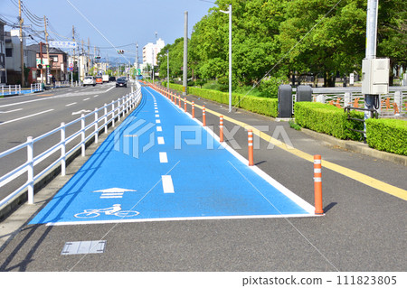 佐賀縣佐賀市中部人車分流人行道 佐賀縣佐賀市中部人車分流人行道 111823805
