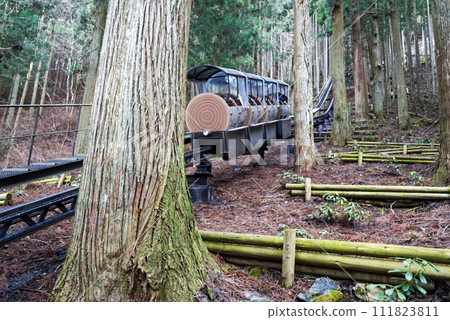 奈良縣天川村Menfudo石灰岩洞穴Dorokko 111823811
