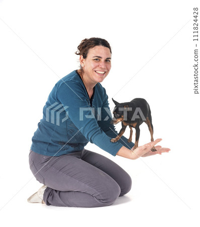 miniature pinscher and woman in studio miniature pinscher and woman in studio 111824428