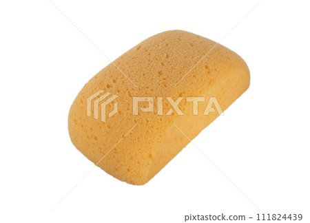 sponge in studio 111824439